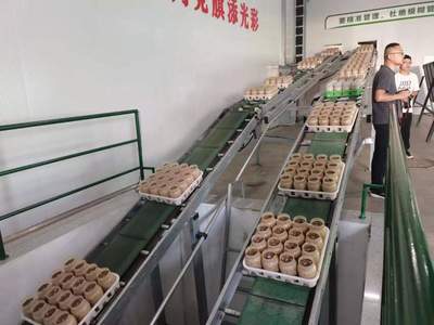 科技赋能小蘑菇，文旅融合铸大业——探索新时代特色旅游项目投资新路径